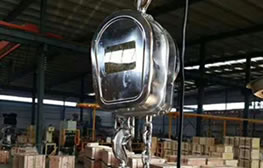 食品車間：不銹鋼手拉葫蘆保食材吊運潔凈安全